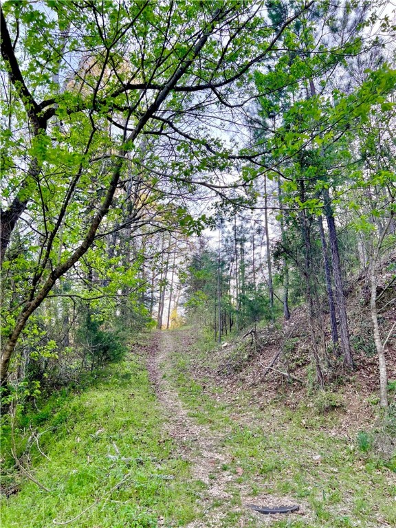 Rare opportunity to own 3 1/2 acres in Eureka Springs that is very close to downtown yet still tucked away in the woods with a peaceful and secluded feeling. There are two great building spots, one on the upper lotted portion and one on the lower parcel. Due to the generous size of this land either building spot will have plenty of privacy and you can enjoy the peace and quiet of living tucked away into the wooded hillside. If you have ever dreamed of building a treehouse retreat to call your own, this is your chance to make those dreams a reality and build your very own home in the tree tops at Breezy Point. City utilities are available on location making this a very affordable option for building your dream home in Eureka Springs. Only about a mile to the Crescent Hotel and the Downtown shopping, dining, and entertainment district. Beaver and Table Rock lakes are close by as well as both The White and The Kings river. Mountain bike access to the Lake Leatherwood trail system is just at the top of the hill.