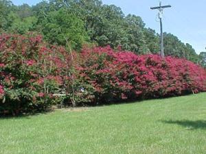 Other Subdivision in Johnson Co - Residential