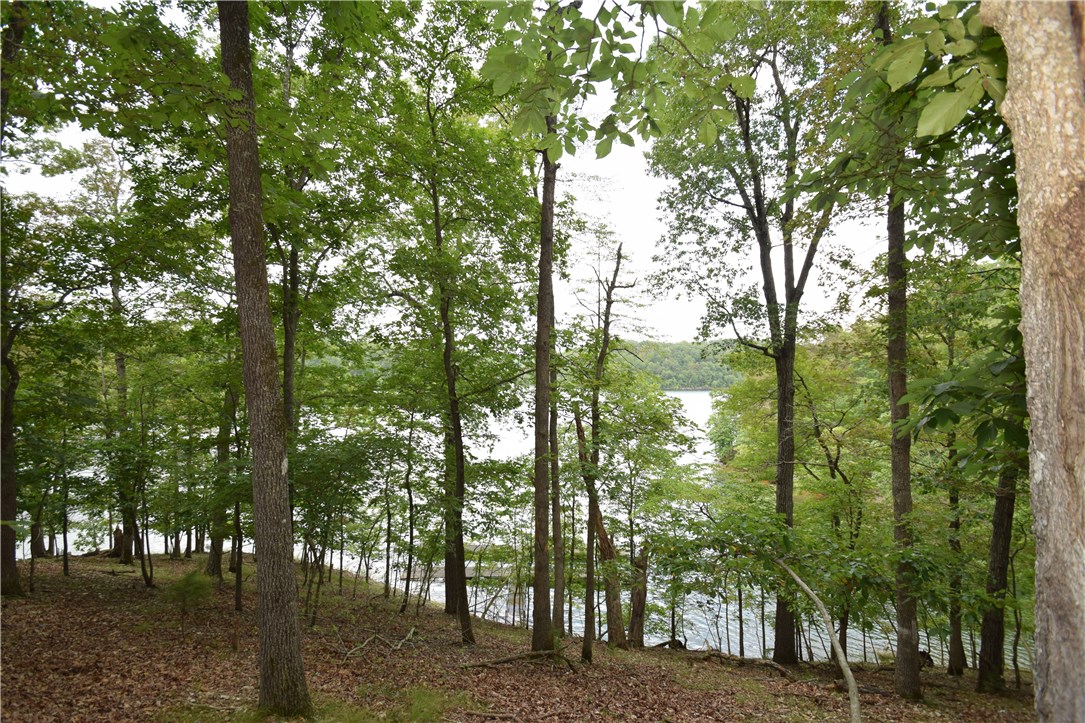 Lake front living with 2-slip private boat dock!  This incredible 6.51 acre lake property offers several great building sites, excellent views, a private setting, and over 350' of lake frontage along Coose Hollow Cove!  Don't wait, this amazing property won't last long!