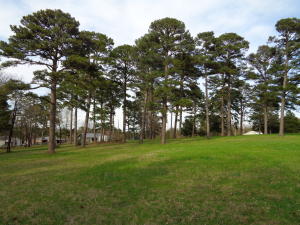 GREAT BUILDING SITE FOR ONE OR MORE FAMILIES.  FIRST TIME IN THE MLS.  9.02 ACRES OF BEAUTIFUL LAND.  ONLY $175,000.  MLS#19-667.