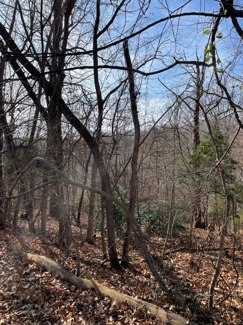 Twin Lakes Estate Rogers - Land