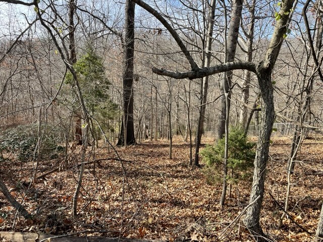 Twin Lakes Estate Rogers - Land