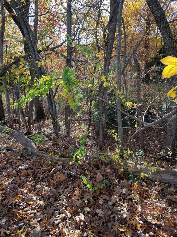Great buildable lot in Twin Lake Estates, close to downtown Rogers and Prairie Creek on Beaver Lake. This 1 acre lot would be perfect for a home with a walk-out basement.
