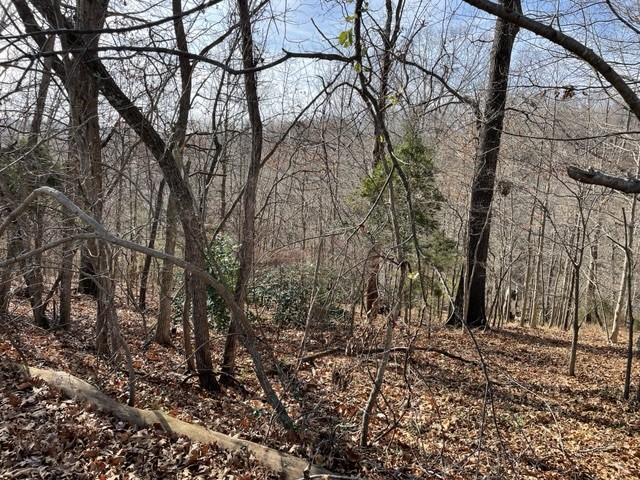 Twin Lakes Estate Rogers - Land