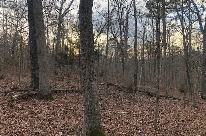 Wooded lot in Bella Vista to build your Next Home.