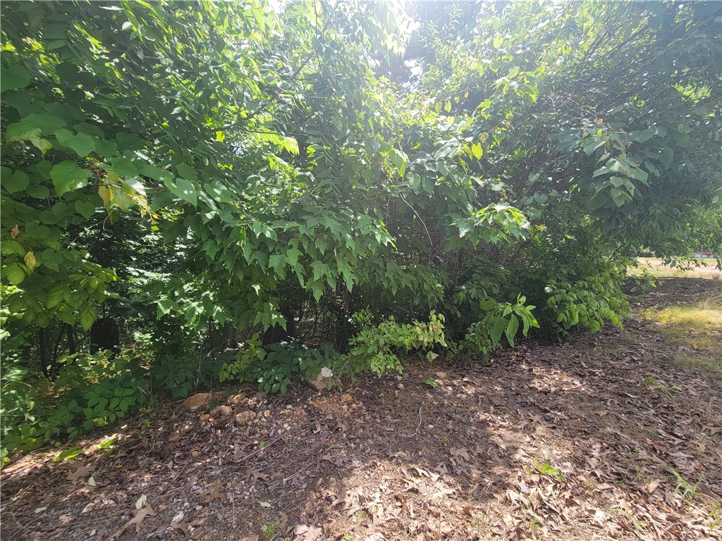 If you're looking for privacy and a peaceful, tranquil setting, check out this lot.  Sitting near the edge of the Bella Vista city limits, there are only a couple of homes nearby.  This large lot (.36 ac) should allow for at least a 3-bedroom home, but a perc test will have to be done by Buyer to determine that.  You'll find an abundance of wildlife here as you consider building your new home on this lot.  Go check it out!