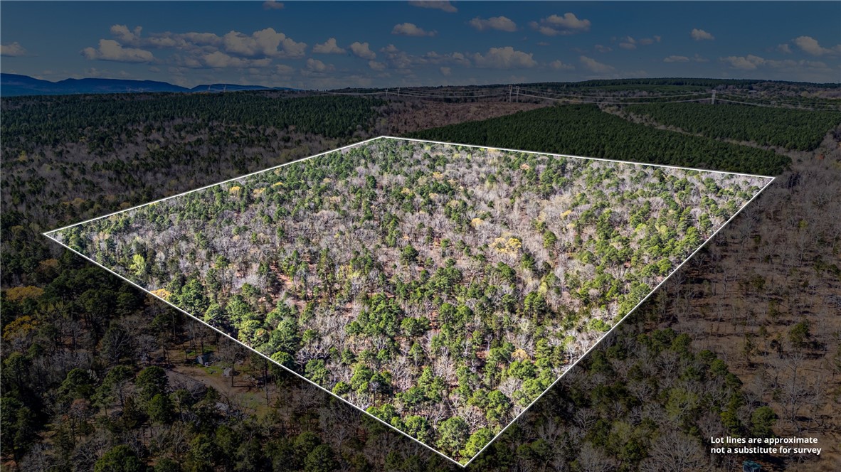 Beautiful 40 wooded acres with views of Lake Dardanelle, offering the perfect setting for a cozy off-grid cabin, hunting retreat, or private homestead. Rolling terrain, mature timber, abundant wildlife, and incredible lake views create a peaceful escape while still being within reach of River Valley amenities. Endless possibilities to build your dream getaway in nature.