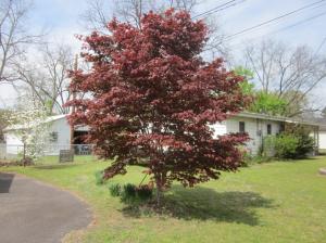 Brearley - Residential