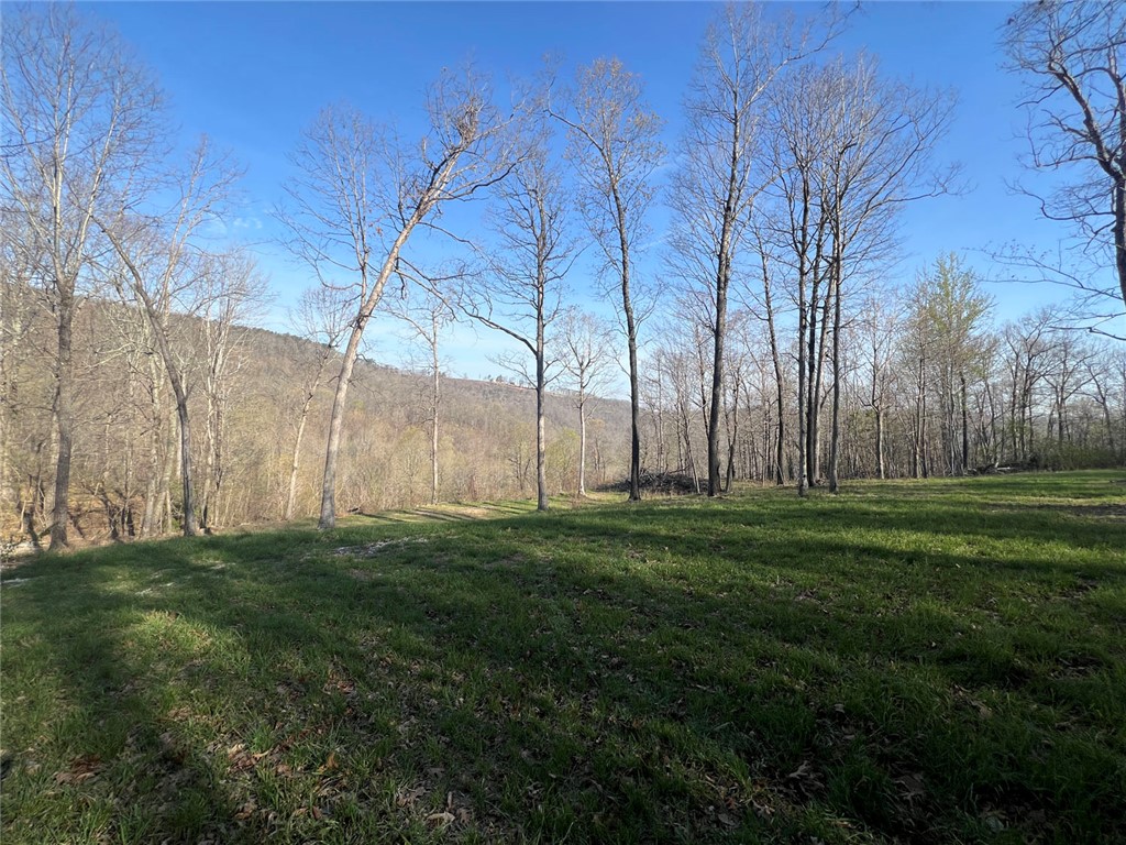 This 4.79-acre tract offers a rare combination of privacy, scenery, a spring, and convenience in the heart of the Ozarks. Tucked away on a quiet dead-end road, the property provides a peaceful setting with spectacular Ozark mountain views, while still being just a short drive from pavement and the amenities of Jasper.

The land is ideally suited for a home or retreat, with a gently rolling landscape that takes full advantage of the surrounding mountain views. Located near established hiking trails and the Buffalo National River, this property puts some of the area’s most sought-after outdoor recreation right at your fingertips.

Underground utilities are available, preserving the natural beauty of the setting and simplifying the building process. Whether you’re looking to build a full-time residence or a weekend getaway, this tract offers a strong balance of seclusion, accessibility, and scenic appeal. Owner financing available!