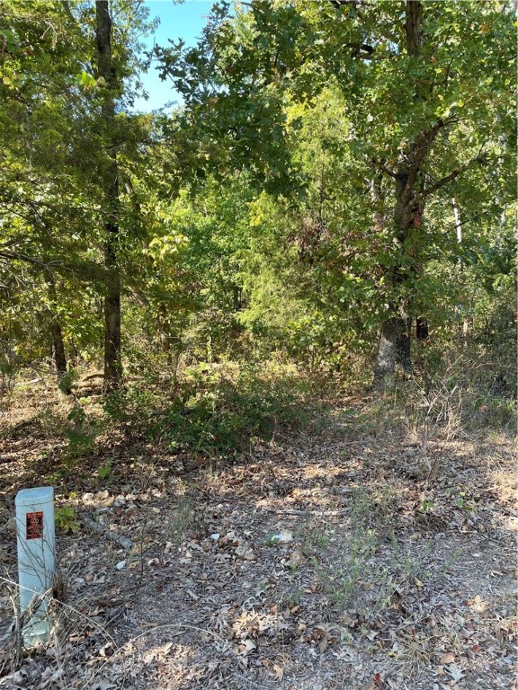 Looking for more than just a lot? Looking for a neighborhood to call home?  Then come see this piece of Bella Vista.  Close to Scotsdale Golf Course, bike trails, dog park and walking trails.  Marina at Loch Lomond and Lakepoint Dining and event center are just 2 miles away.  Walmart Supercenter less than 5 miles, about a 10 minute drive.   This lot slopes so could be great for a walk out basement style build. Come and enjoy all the amenities Bella Vista has to offer.