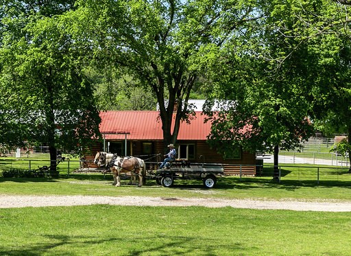This 422 acre Ranch is located on the Arkansas/Oklahoma line at 25200 Ranch Rd, Gentry, AR 72734. Having 1.2 miles of the Spavinaw Creek makes this property a must see! Trout and other fish can be caught out of the creek on a regular basis and the creek gravel is readily available. The farms rolling hills give way to the beautiful bermuda grass creek bottoms. The pastures are divided into 10 separate paddocks to allow for rotational grazing. The 1516 Sq. Ft. house built in 2002 is a log home style having 2 bedrooms, 2 bathrooms and a very nice wood burning fire place. You will find all kinds of barns, outbuildings to store equipment, working pins, and even a roping arena! Deer, turkey, and other small game can be found on the acreage. This farm is as good as it gets with quality pasture, beautiful scenery, seclusion, and a Spavinaw Creek flowing through it!
