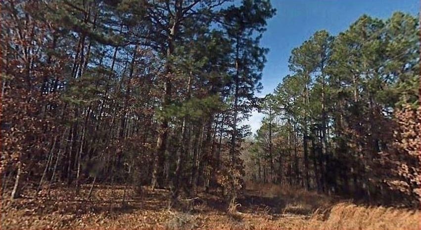 Excellent location, level and partially wooded lot.