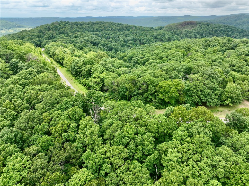 This property is located near several well-known recreational destinations in the Ozarks. The Upper Buffalo Mountain Bike Trails are nearby, offering access to a growing trail system popular with outdoor enthusiasts. Boxley Valley and the Buffalo National River region are also within a short drive, providing opportunities for hiking, floating, sightseeing, and camping.