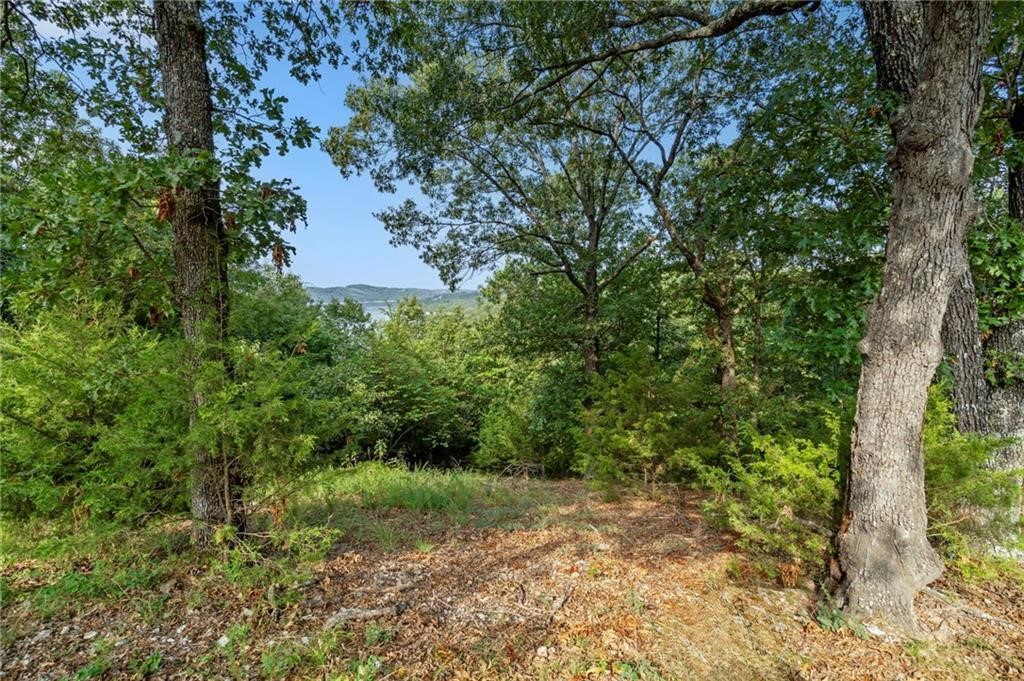 Sylvan Shores Estates - Land