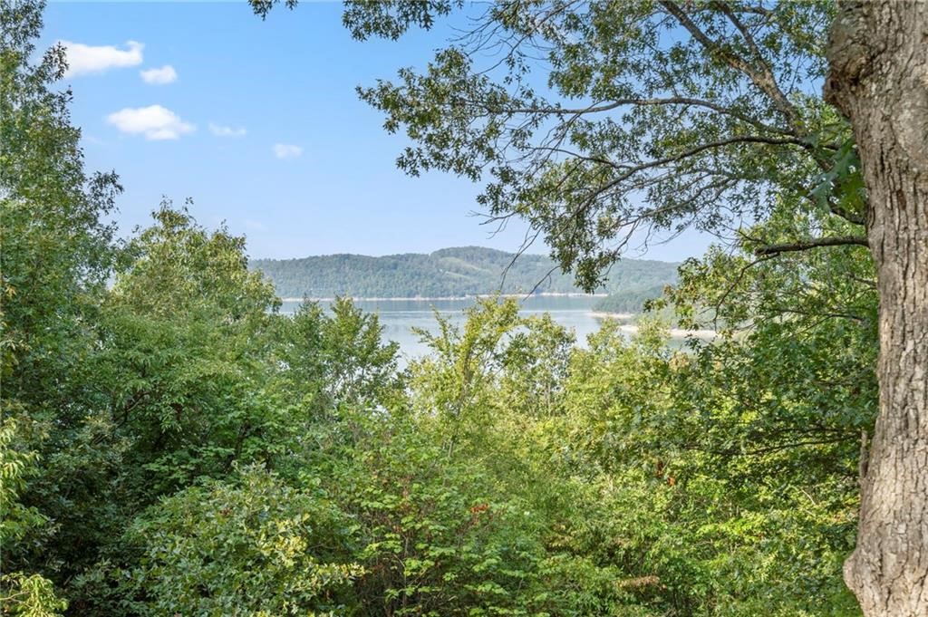 Sylvan Shores Estates - Land