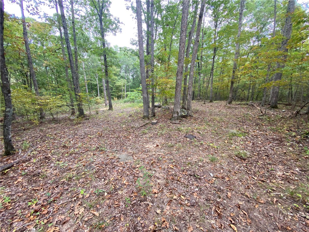 39.75 Acres of Timberland in Keys Gap/Low Gap area in the Ozark Mountains of Newton County, Arkansas. The property boarders Horse Shoe Canyon Ranch. This beautiful timber property offers the perfect blend of seclusion, natural beauty, and opportunity—ideal for hunting, recreation, or building your dream cabin in the woods. Surrounded by rolling hills and mature hardwoods, the land features abundant wildlife, including deer and turkey, making it a hunter’s paradise. Whether you’re seeking a weekend getaway or a private homestead this tract delivers unmatched potential. There are several prime building sites perfect for a rustic cabin or off-grid home. ATV trails throughout, seasonal spring and a bluff line. The property’s remote location provides peace and privacy, yet it’s still within easy reach of Jasper, Ponca, the Buffalo National River and the Ozark National Forest —offering endless opportunities for hiking, canoeing, and exploring the Ozarks.