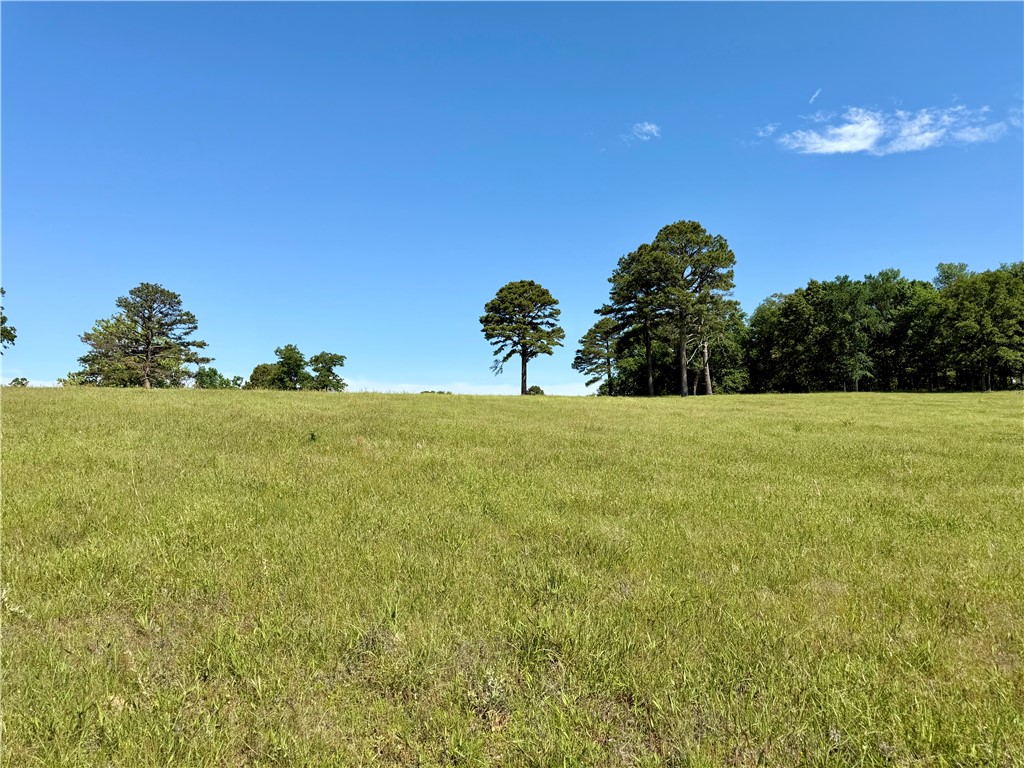 25.5 acres of beautiful, slightly rolling pastureland near Piney Bay Lake. Fenced on three sides, it’s ideal for all types of livestock or a homesite. No restrictions—mobile homes are allowed. Electric is at the road, The buyer will need to drill a water well. A pond adds to the property’s charm. Plenty of room to build, expand, or enjoy recreational use, with peaceful surroundings and easy access to nearby amenities and outdoor activities.