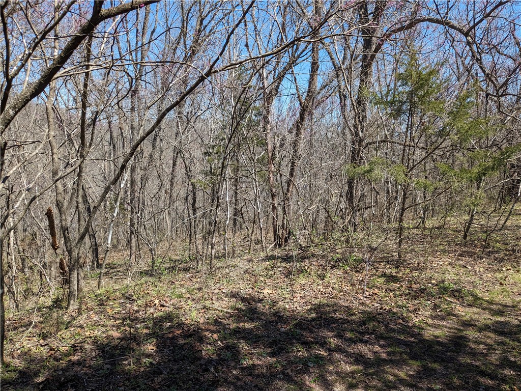 Nice-sized lot on Ashdown Lane. Has the Back 40 trail running behind it. The road is currently unpaved, so it would make a good membership lot.
But if the roads get developed in the future it would make a great building lot.
