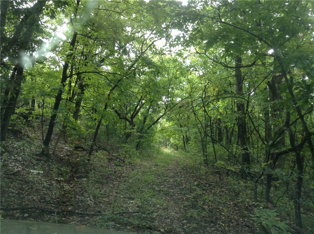 Quiet Valley - Land