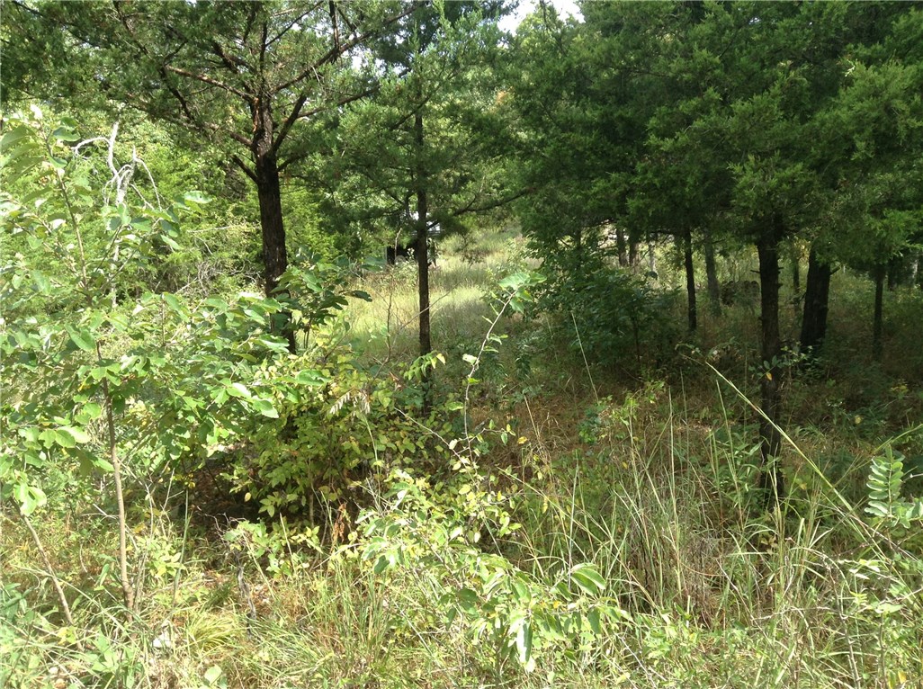 Quiet Valley - Land