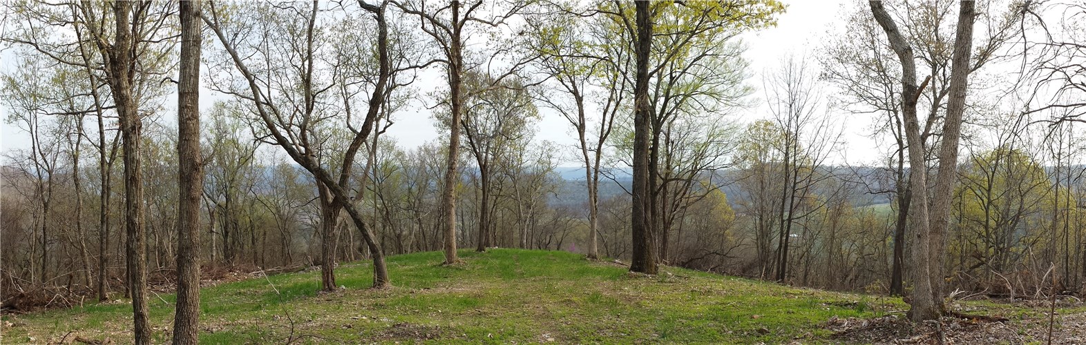 Large timber Hunting Land with Live Water for abundant wildlife.  Located at end of Road and has several year round springs on property.  Would also make a secluded homestead.  Small areas of grassland but mostly wooded.  There is a winding road through out the property, so most of it can be seen by 4x4 drive. Definite signs of abundant wildlife on property.  A good building site near Spring Fed wildlife pond or Mtn. top.  If you are a hunter or just want to get away from it all, this is the land for you.