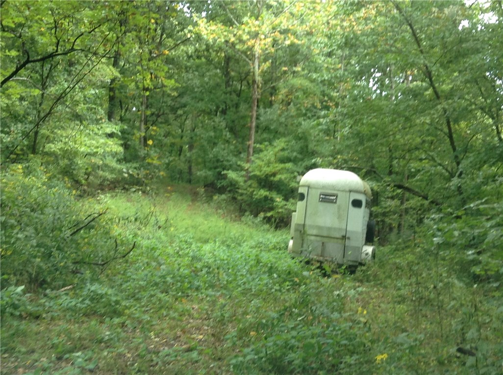 Quiet Valley - Land