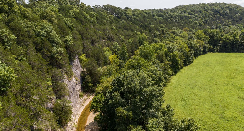 203 acres located in St Joe AR with a 5 million gallon a day Spring . Property has Abundant water with over 1 mile of Tomahawk creek and the Spring Branch. Located near Buffalo River activities being only 
2 Miles M/L from Gilbert, AR and Buffalo River access.  
Property has easy access to the Spring, Creek and Plenty of wildlife. Approx. 60 acres in Pasture/Hayfields.