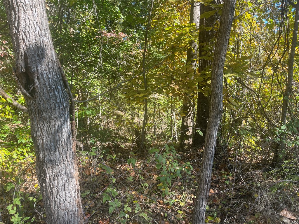 Northampton Sub Bvv - Land