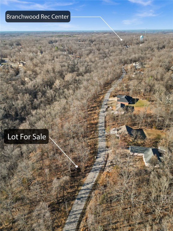 Discover a prime 0.30-acre lot nestled in the scenic highlands of Bella Vista, Arkansas. This desirable location is situated south of the Branch Wood Recreation Center and just a short drive from Scotsdale Golf Course, as well as the Highlands Golf and Pub. Enjoy convenient proximity to Cedar Lodge Arkansas Resort and the Lake Point Restaurant and Event Center. With easy access to the new Bella Vista Bypass, this lot offers both tranquility and accessibility in the heart of Bella Vista.