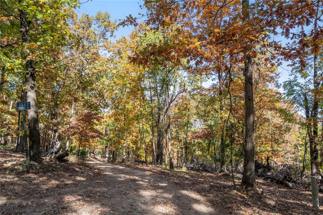 Beavers Cove - Land