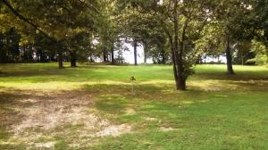 Ridgeview - Residential