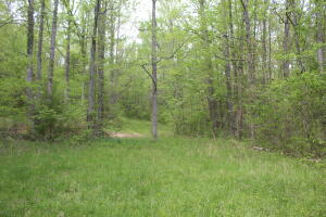 Privacy, large timber, view, that is what you will get with this 22.49 acre tract, only a short drive to the Buffalo River, Harrison, or Jasper.  Great spot for an off grid cabin or hunting camp.  Property has deeded 50 foot easement for access from the county road.