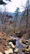 Nice wooded land with year round creek; good public road access to NE corner of property.