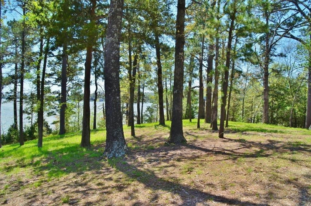 07-19-28-Rural - Residential Lease