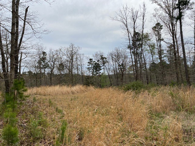 14.96 beautiful acres.