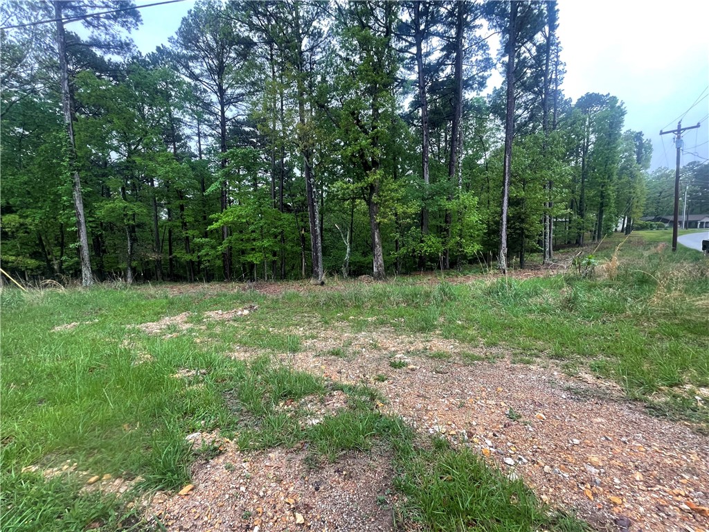 Corner lot in the desirable Bella Vista community, offering an excellent opportunity to build your dream home. This spacious lot provides flexibility in design with added privacy and accessibility thanks to its corner positioning. Enjoy the natural beauty of the area, with nearby trails, golf courses, lakes, and all the amenities Bella Vista has to offer. Conveniently located with easy access to Bentonville, shopping, dining, and outdoor recreation. Utilities available at the street (buyer to verify). Don’t miss the chance to invest in one of Northwest Arkansas’ most sought-after communities.