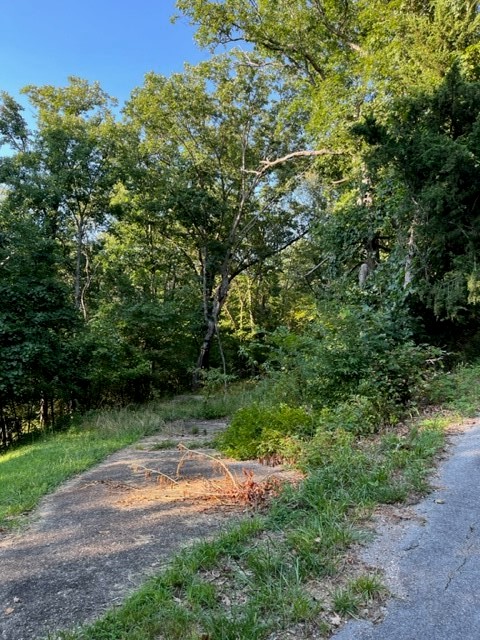 Vacant lot, nestled among trees.  Mountain bike trails near by and short distance to Razorback Greenway.