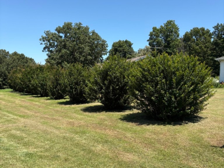 Ridgeway Meadows - Residential