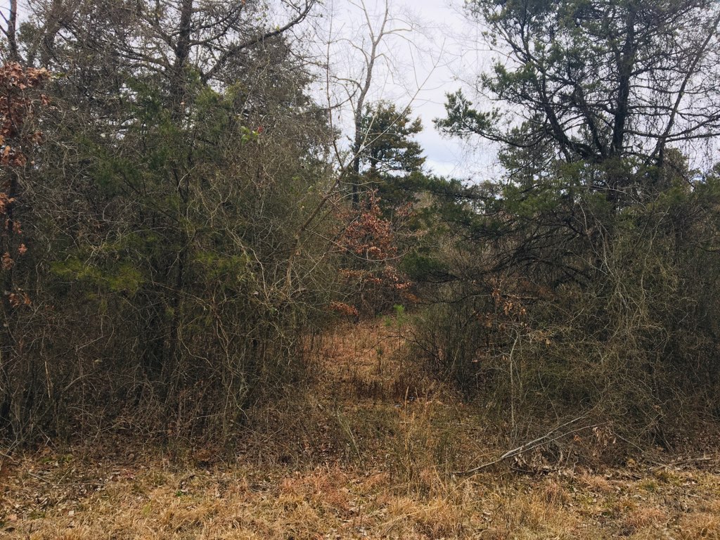 One of the few remaining lots in the coveted Eagles Nest Subdivision. Build your forever home on this large, beautiful 1.5 acre lot!