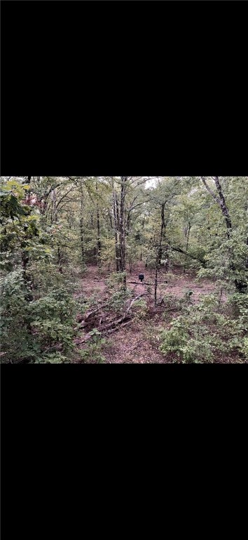 Deer, Bear, Turkey oh my - Land