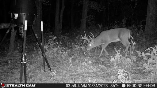 Deer, Bear, Turkey oh my - Land