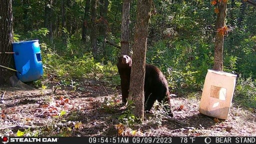 Deer, Bear, Turkey oh my - Land