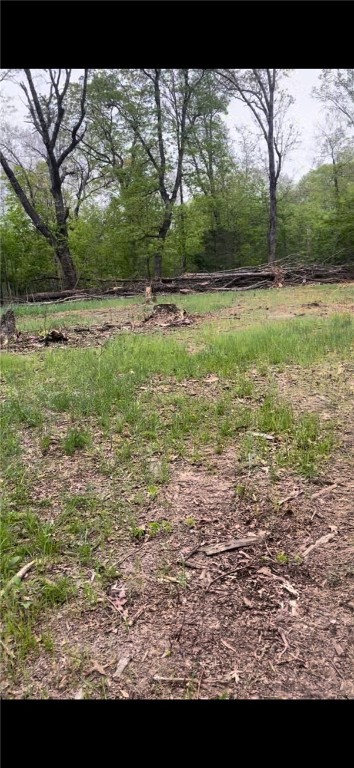 Deer, Bear, Turkey oh my - Land