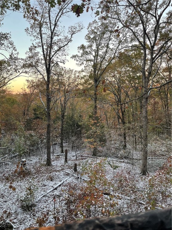 Deer, Bear, Turkey oh my - Land
