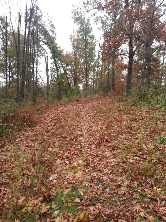 RURAL - Land