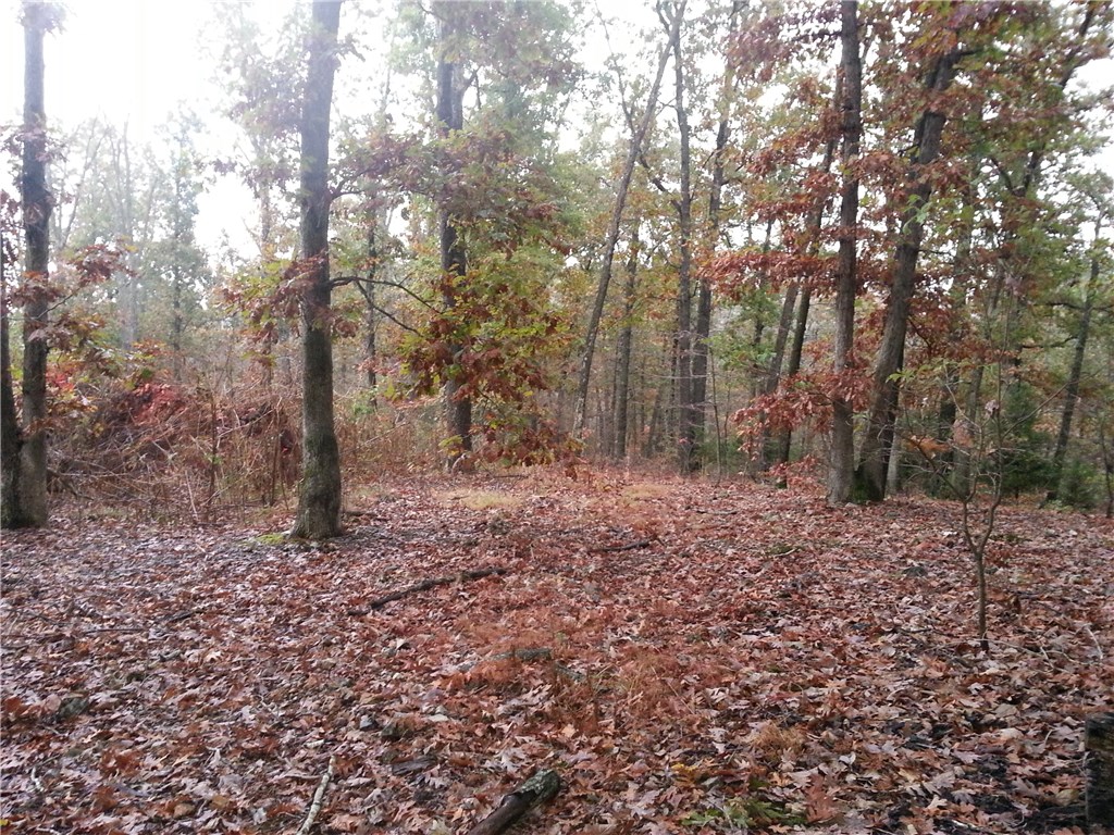 RURAL - Land