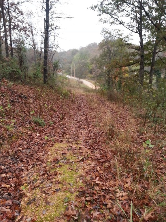 RURAL - Land