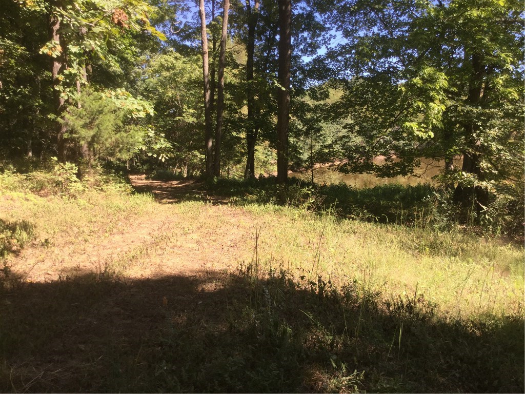 Bunyard - Land