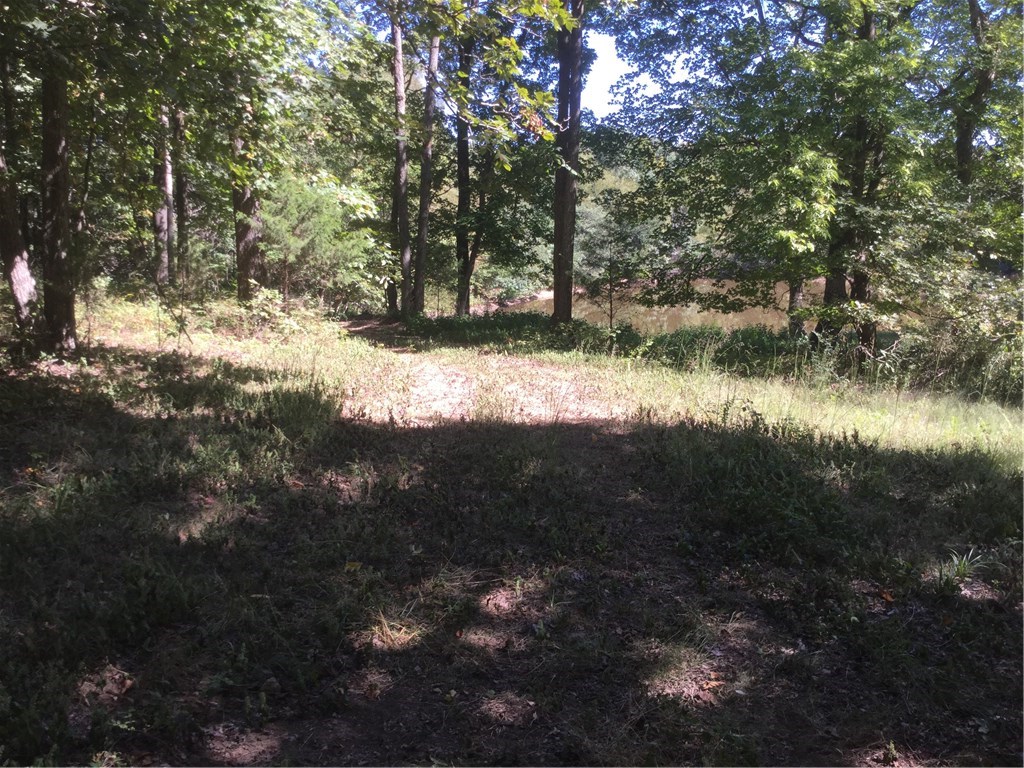 Very Nice 144 acres, south of Bunyard road and southeast of the tunnel.  Large Deer and Bear!  Good places to build or put your shop house on.  good size property for the individual owner or a family with road frontage at 2 different locations on Bunyard Road.  Washington County water association and electric on Bunyard Road.  Only 1.5 miles off pavement on a very good gravel road.