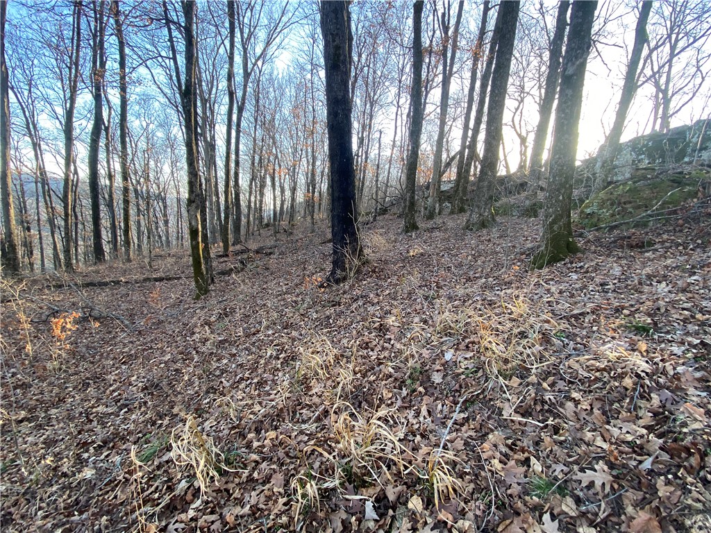 18-13-28 - Land
